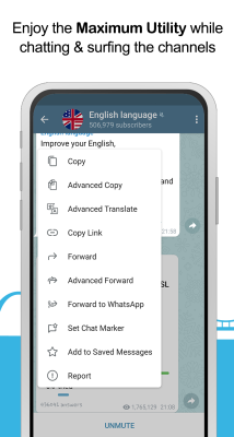Capture d'écran de l'application Vidogram Lite - #4