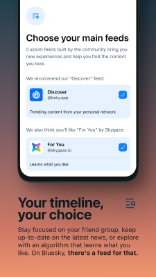 Capture d'écran de l'application Bluesky - #3