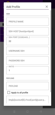 Capture d'écran de l'application SSH Custom - #3