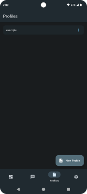 Capture d'écran de l'application sing-box - #3