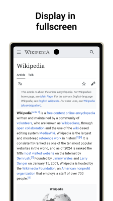 Capture d'écran de l'application Berry Browser - #3