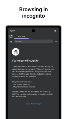 Capture d'écran de l'application Berry Browser - #6