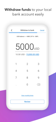Capture d'écran de l'application Payoneer - #4
