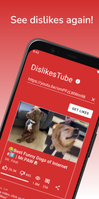 Capture d'écran de l'application Dislikes Tube - #1