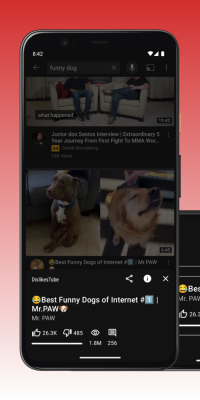 Capture d'écran de l'application Dislikes Tube - #4