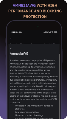 Capture d'écran de l'application Amnezia VPN - #4