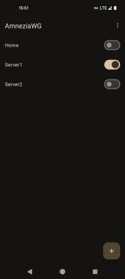 Capture d'écran de l'application AmneziaWG - #5