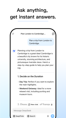 Capture d'écran de l'application DeepSeek - #2