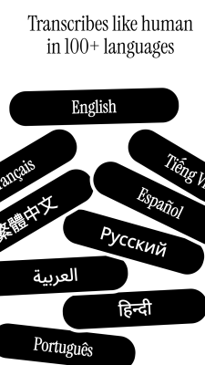 Capture d'écran de l'application Voicenotes - #5