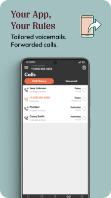 Capture d'écran de l'application Hushed - #8