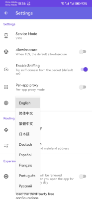 Capture d'écran de l'application Shadowrocket - #8