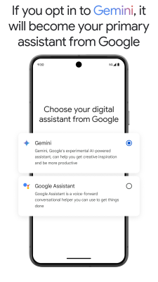 Capture d'écran de l'application Gemini - #5