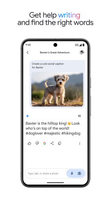 Capture d'écran de l'application Gemini - #6