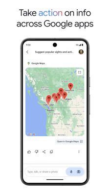Capture d'écran de l'application Gemini - #7