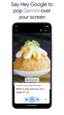 Capture d'écran de l'application Gemini - #8
