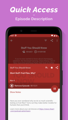 Capture d'écran de l'application Podcast Player - #7