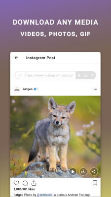 Capture d'écran de l'application Friendly For Instagram - #2