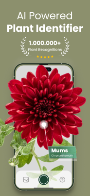 Capture d'écran de l'application Plantify - #1