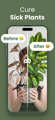 Capture d'écran de l'application Plantify - #3