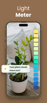 Capture d'écran de l'application Plantify - #6