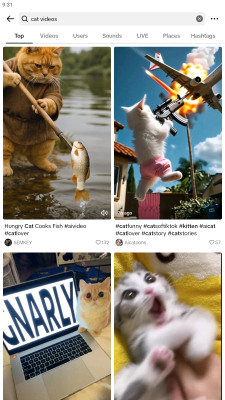 Capture d'écran de l'application JTikTok - #2