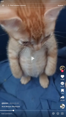 Capture d'écran de l'application JTikTok - #3