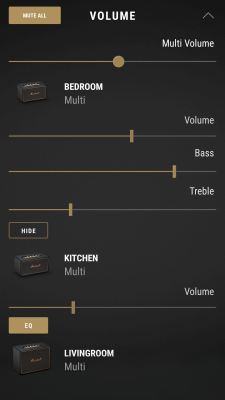 Capture d'écran de l'application Marshall Multi-Room - #3