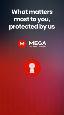 Capture d'écran de l'application MEGA Pass Password Manager - #7