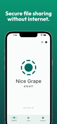 Capture d'écran de l'application LocalSend - #1