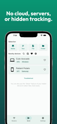 Capture d'écran de l'application LocalSend - #2