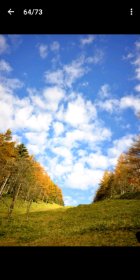 Capture d'écran de l'application NIKON IMAGE SPACE - #5