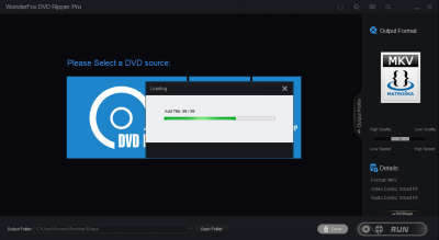 Capture d'écran de l'application WonderFox DVD Ripper Pro - #3