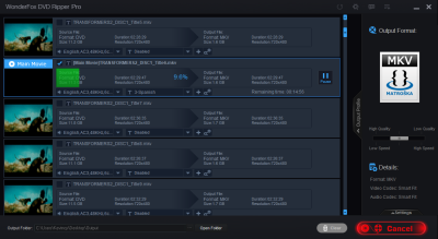 Capture d'écran de l'application WonderFox DVD Ripper Pro - #8