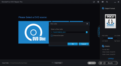 Capture d'écran de l'application WonderFox DVD Video Converter - #2