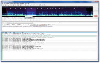 Capture d'écran de l'application Aegisub Portable - #3