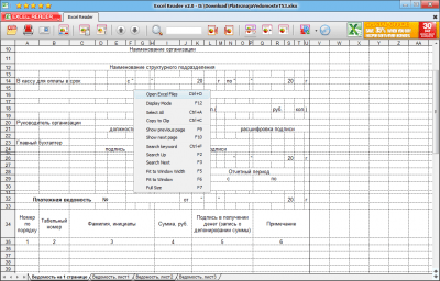 Capture d'écran de l'application Excel Reader - #3