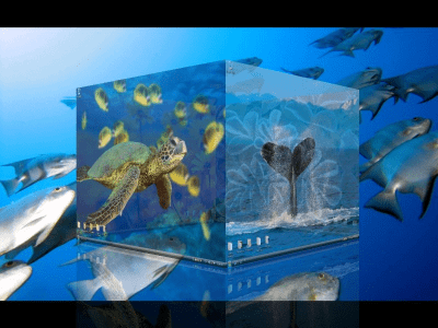 Capture d'écran de l'application DeskSpace - #3