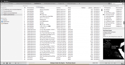 Capture d'écran de l'application MusicBee - #5