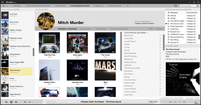 Capture d'écran de l'application MusicBee - #6