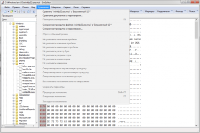 Capture d'écran de l'application EmEditor Portable - #1