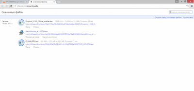 Capture d'écran de l'application Google Chrome Windows - #3