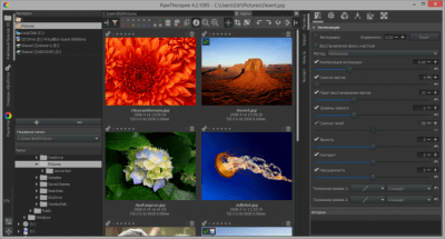 Capture d'écran de l'application Raw Therapee - #6
