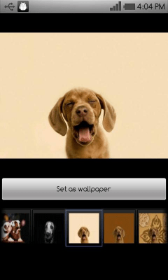 Capture d'écran de l'application Beautiful dog wallpapers - #2