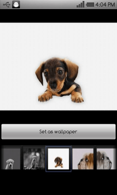 Capture d'écran de l'application Beautiful dog wallpapers - #5