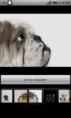 Capture d'écran de l'application Beautiful dog wallpapers - #8